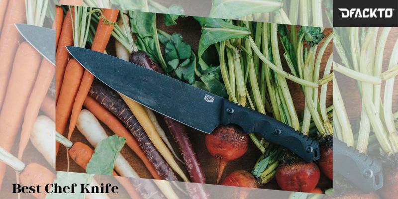 Anatomy of a chef’s knife – What Each Part of a Kitchen Knife is Called
