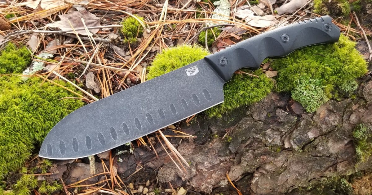 Is the Chef’s Knife or Santoku Knife the Best Knife for Food Prep?